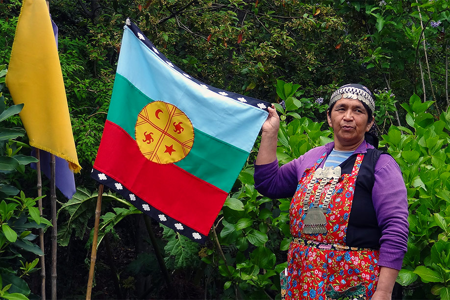 Mapuche-Indianerin