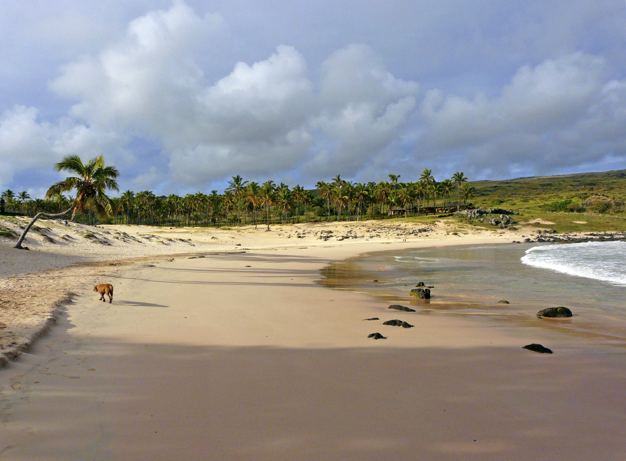 Anakena Beach im Norden der Osterinsel
